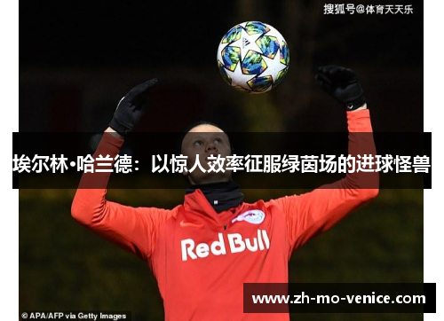 埃尔林·哈兰德：以惊人效率征服绿茵场的进球怪兽