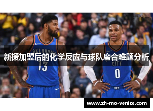 新援加盟后的化学反应与球队磨合难题分析